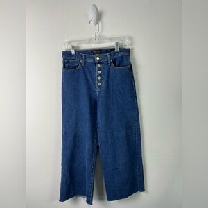 Banana Republic Premium Denim Button Fly Jeans